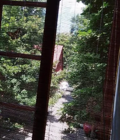 Casa vacanze Fachwerkhof Goedringen