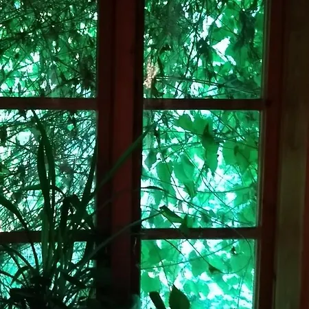 Fachwerkhof Goedringen Casa vacanze Sarstedt