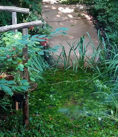 Casa vacanze Fachwerkhof Goedringen