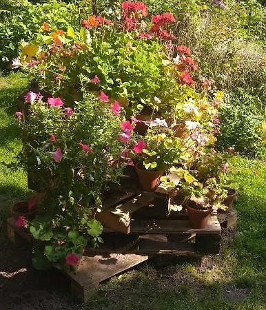 Fachwerkhof Goedringen Casa vacanze Sarstedt