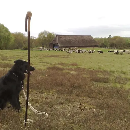 Fachwerkhof Goedringen Casa vacanze *