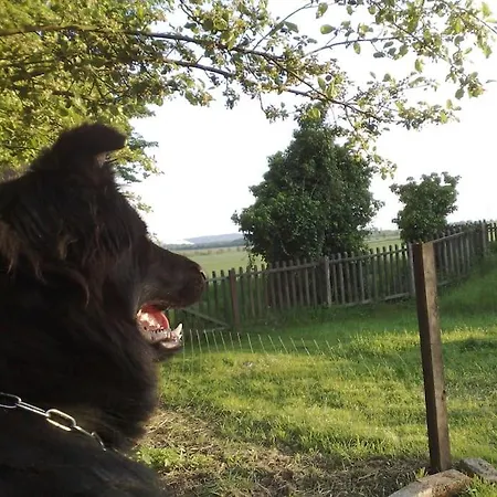 Casa vacanze Fachwerkhof Goedringen